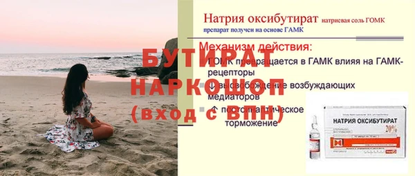 шишки Осташков