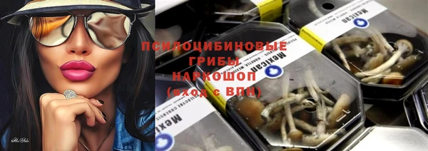 шишки Осташков