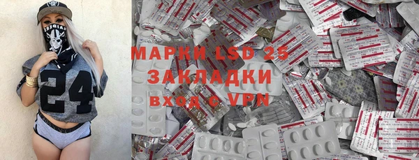 шишки Осташков