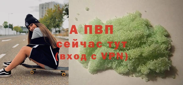 шишки Осташков