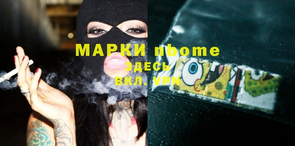 шишки Осташков