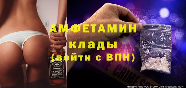 шишки Осташков