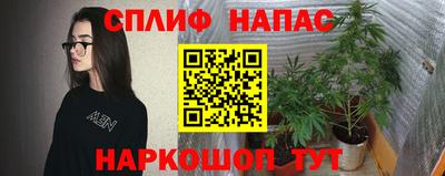 амф Гусев