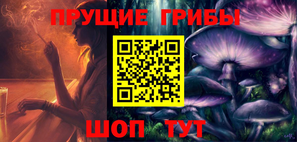 Кирово-Чепецк  Галлюциногенные грибы MAGIC MUSHROOMS  Вход с VPN 